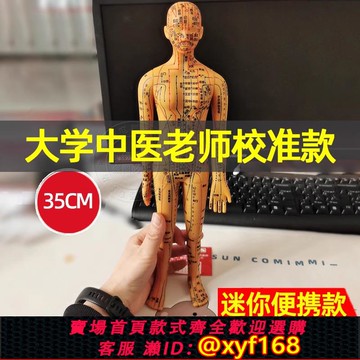 {可打統編 保固一年}針灸人體模型真人穴位經絡全身圖小皮人模特十二小銅人中醫人形
