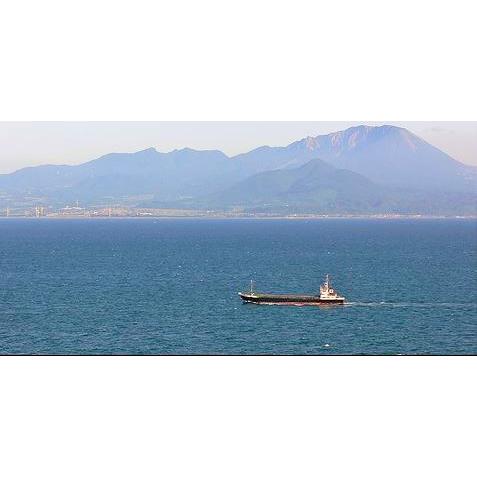 鳥取県境港産 松葉ガニ・浜茹で[訳あり]400g〜600g