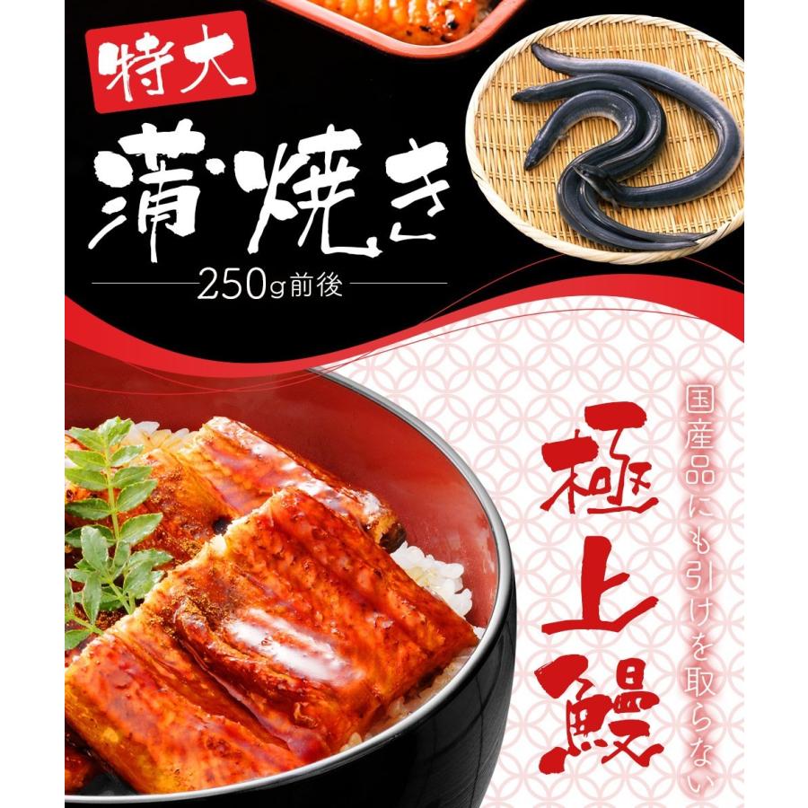 うなぎ 蒲焼き 国産 ではございませんがふっくら柔らか 超特大 250g前後 ウナギ 鰻 2〜3人前 たれと山椒付き 土用 丑の日 長焼き 訳あり 肉厚