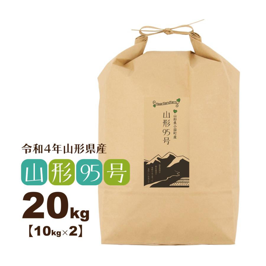 新米 20kg お米 山形95号 山形県 令和5年産 送料無料（一部地域を除く） 10kg×2袋 精白米