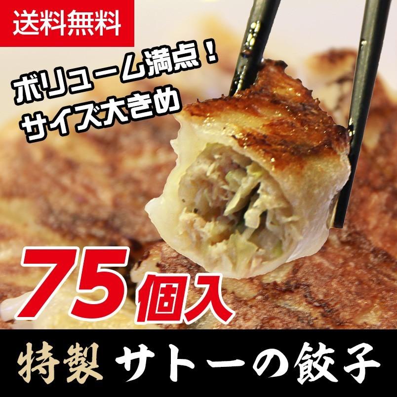 冷凍ギョーザ５パック-75個入り　餃子タレ付