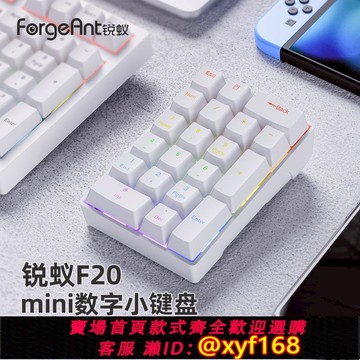 {可打統編 保固一年}銳蟻mini數字小鍵盤電腦外接機械鍵盤筆記本會計財務收銀辦公20鍵