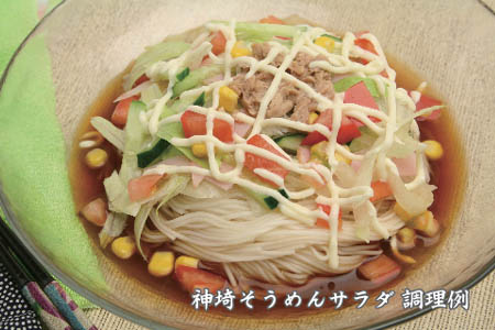 佐賀県特産品 神埼そうめん 10入 (H014124)