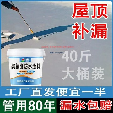 🔸臺灣公司貨·可開發票🔸屋頂防水塗料防水永久性補漏樓頂裂縫防水材料房頂滲水漏水堵漏王