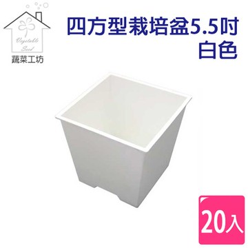 四方型栽培盆5.5吋-白色(厚)20個/組