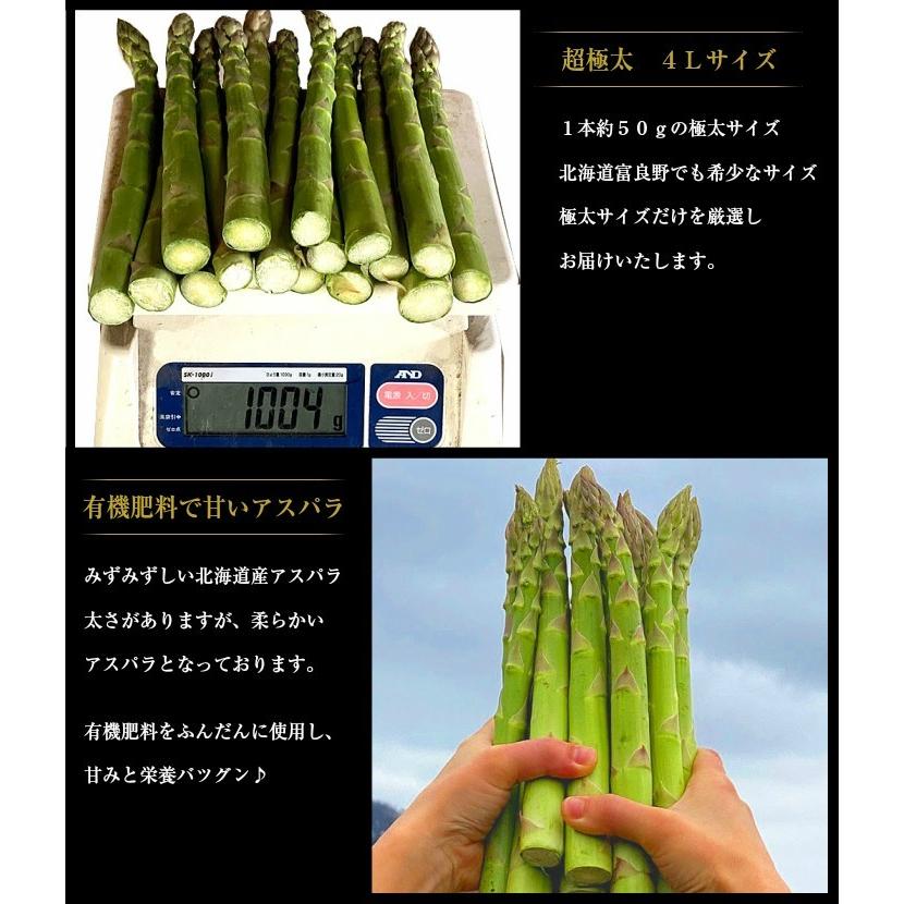 アスパラガス 北海道 グリーン アスパラ 超極太 4Lサイズ 500g 富良野産 送料無料