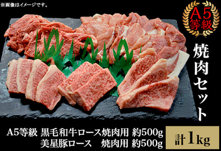 焼肉セット1kg（4～5人用）A5等級 黒毛和牛ロース 約500gと美星豚ロース 約500g 岡山県産