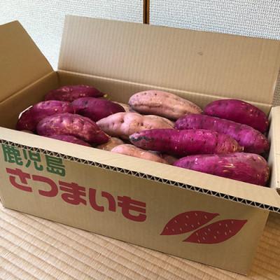 ふるさと納税 指宿市 さつまいも3種(紅はるか・シルクスイート・安納芋)詰合せ10kg(013-1132)