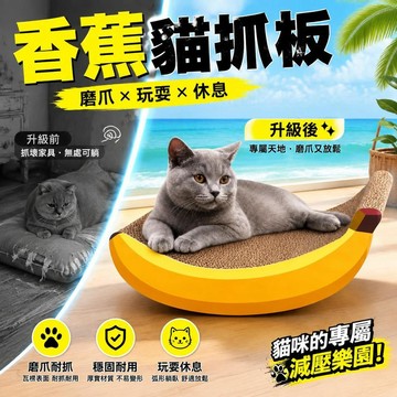 小貓抓板玩具耐抓耐磨