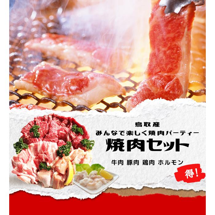 焼肉セット 2.4ｋｇ (６〜１０人前） ホルモン 丸腸 牛肉 豚肉 鶏肉 バーベキュー 鳥取産 BBQ ファミリーセット たっぷり2,4キロ 送料無料