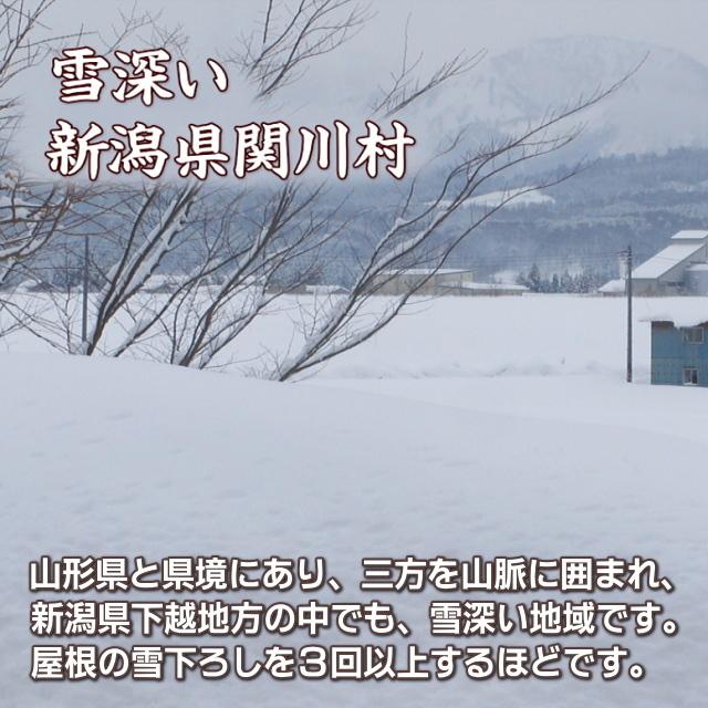 玄米 農薬無使用 コシヒカリ 2kg   希少米 合鴨農法 新潟 岩船産 令和5年産 新米   人気 おいしい 新潟米 こしひかり 送料無料