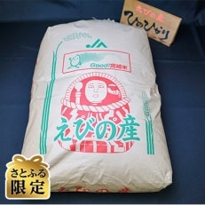 えびの産ひのひかり　玄米　30kg