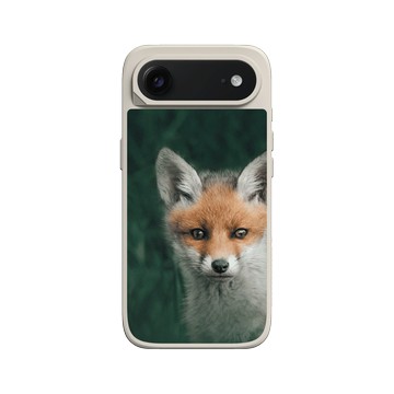 iPhone Air SolidX 貝殼灰 - Alexis Rateau - 狐狸