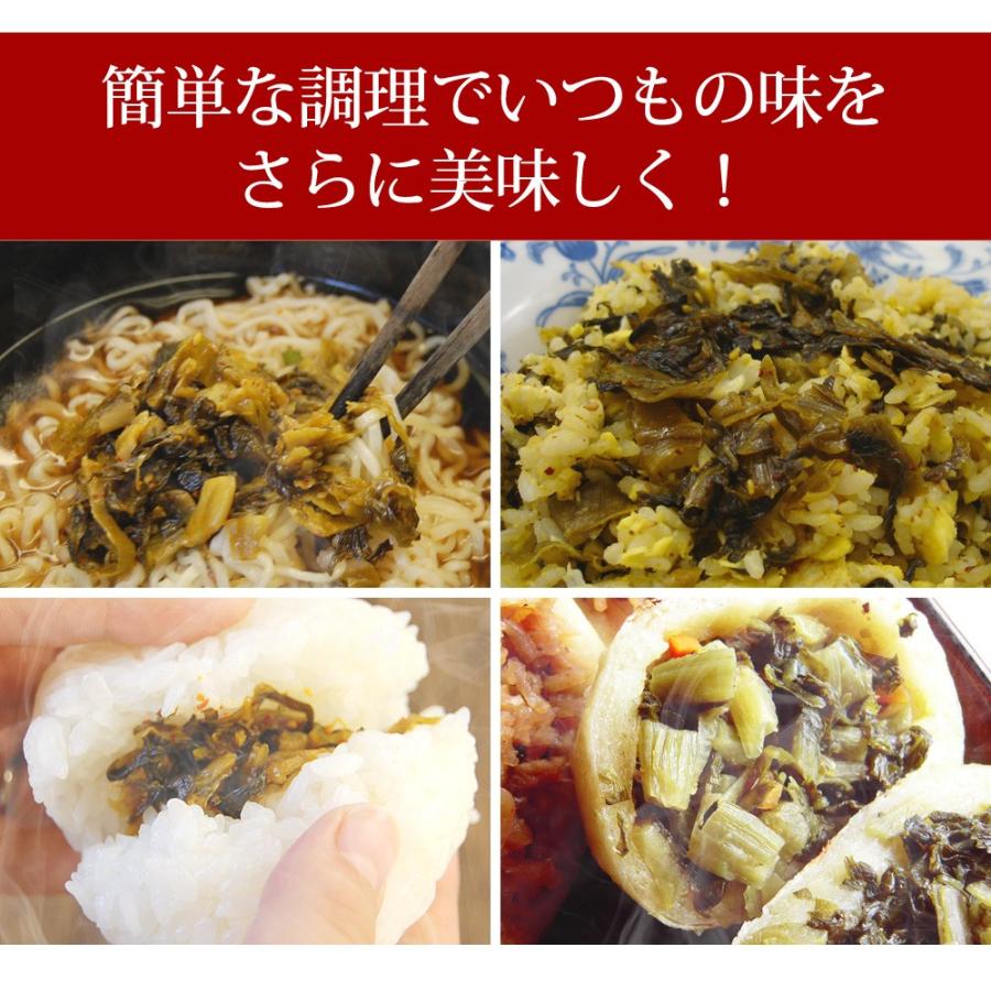 博多辛子高菜（230g×10袋） 送料無料 九州産高菜を使用 博多めし ごはんのおとも