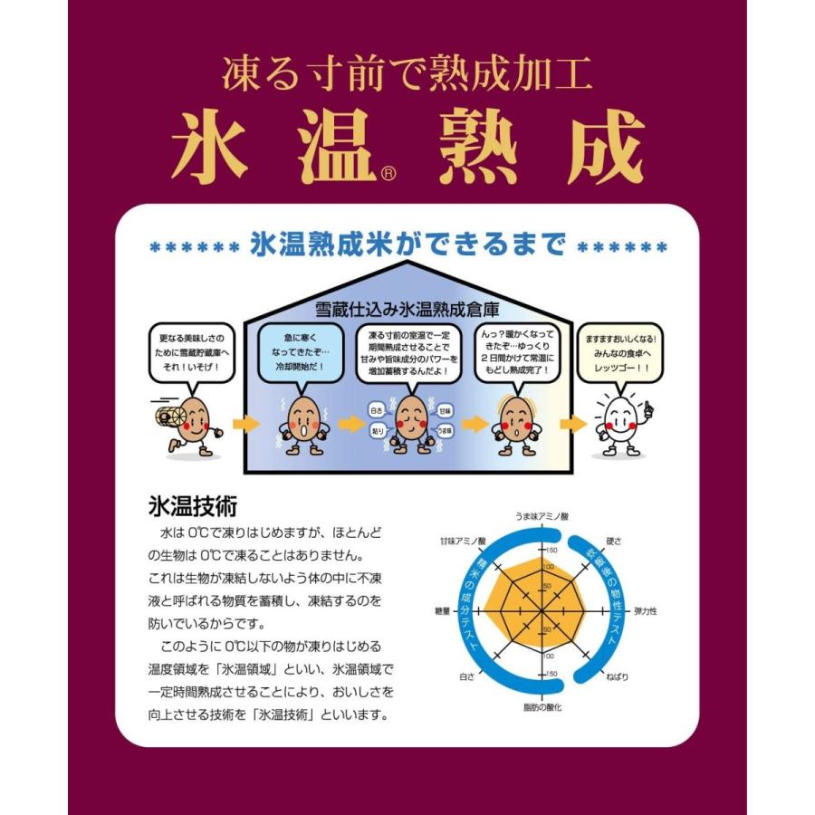 精米 新潟県魚沼産 無洗米 雪蔵氷温熟成 こしひかり 3kg 令和2年産