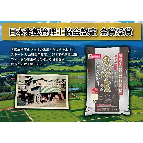 おくさま印 新潟県産 お米の横綱 魚沼産コシヒカリ 5kg