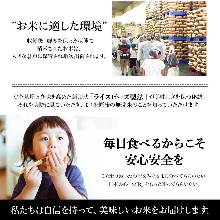 無洗米 10kg 5kg×2 コシヒカリ 三重県産 送料無料 米10kg お米10キロ 10キロ 米 お米 白米 精米 おこめ 宅配 送料無 安い 格安 令和5年産 新米 単一原料米