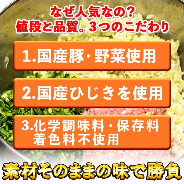 御歳暮 業務用 餃子 冷凍 国産 60個 ひじき ぎょうざ お取り寄せグルメ ギフト おつまみ 冷凍餃子 食べ物 ヨコミゾ