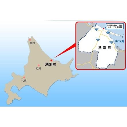 ふるさと納税 先行予約 2024年4月から配送 北海道湧別町 塩水生うに 100g×5 ウニ 北海道湧別町