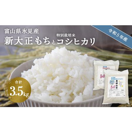 ふるさと納税 富山県氷見産 新大正もち（1.5kg）と特別栽培米コシヒカリ（2kg）のセット 天神の里＜10月中旬以降順次発送＞ 富山県氷見市