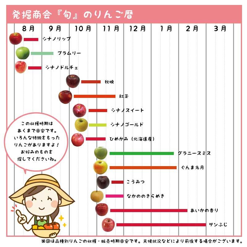 りんご あいかの香り 約3kg 2023年収穫 信州 長野県産 期間限定