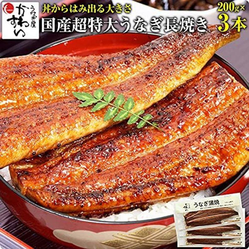 うなぎ屋かわすい 肉厚タップリ 超特大サイズ 国産うなぎ 蒲焼 3本セット（１本２００ｇ-２２９ｇ、タレ付き 山椒別売り）ギフト 贈り物