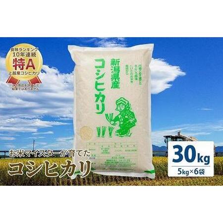 ふるさと納税 令和5年産 お米マイスターが育てた上越産コシヒカリ30kg (5kg×6)白米　精米 新潟県上越市