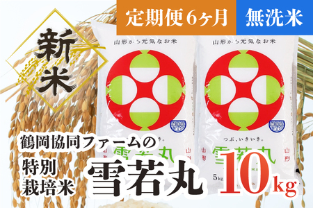  特別栽培米雪若丸 無洗米 10kg (5kg×2袋) ×6ヶ月 山形県鶴岡産　鶴岡協同ファーム