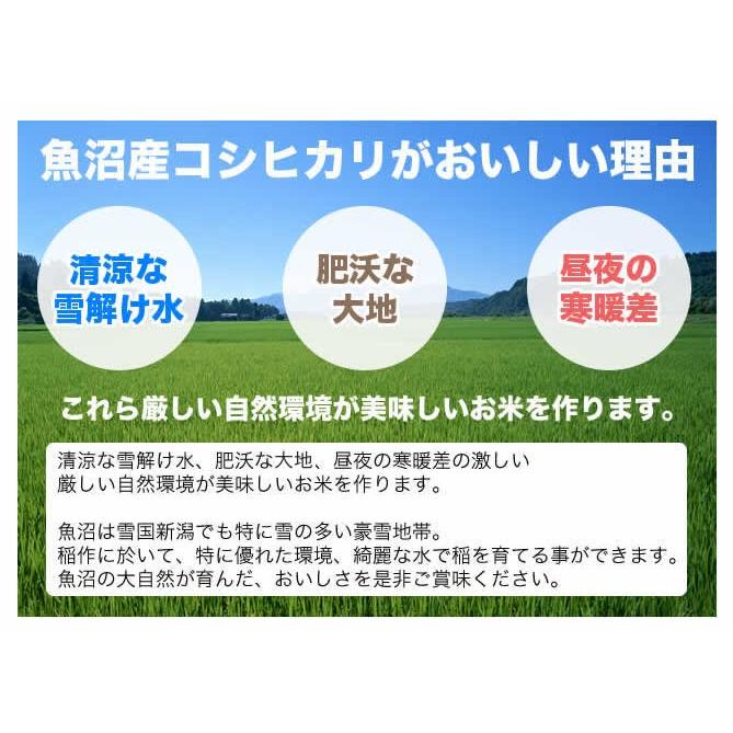 新米 令和5年産 お米 5kg 産直 魚沼コシヒカリ 新潟産 送料無料（北海道、九州、沖縄除く）