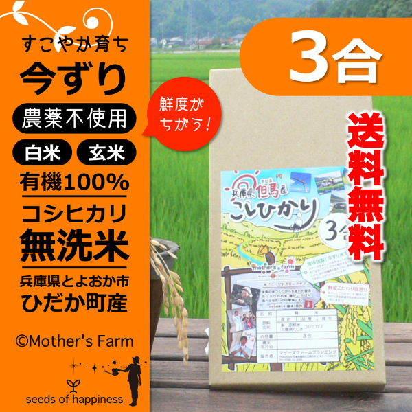 新米 無洗米 お試し 玄米 白米 3合 今ずり米 農薬不使用 コシヒカリ 令和5年産 送料無料 ポイント消化