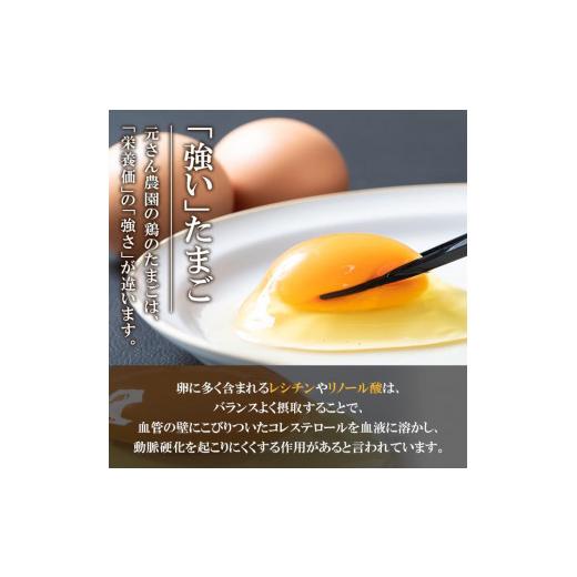 ふるさと納税 大分県 佐伯市 ＜定期便・全6回 (連続)＞平飼い赤鶏のたまご (総量180個・S-Mサイズ30個×6回) 元さん農園