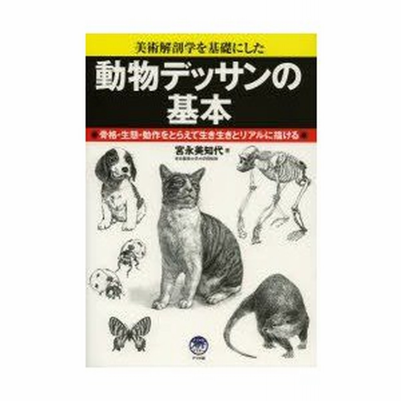 動物デッサンの基本 美術解剖学を基礎にした 骨格 生態 動作をとらえて生き生きとリアルに描ける 通販 Lineポイント最大0 5 Get Lineショッピング