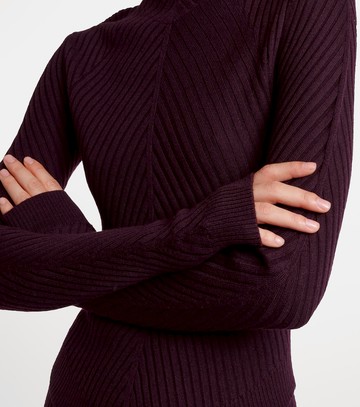 Victoria Beckham Ribbed-knit wool turtleneck top