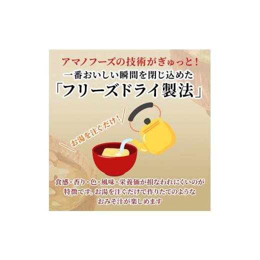 ふるさと納税 岡山県 里庄町 味噌汁 スープ フリーズドライ アマノフーズ まごころ一杯定番おみそ汁 ギフト 500TA（30食） インスタント レトルト