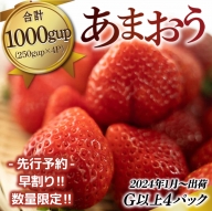 MZ030 福岡県産 あまおうG以上 1000g（4パック）先行予約 2024年1月～3月末発送予定