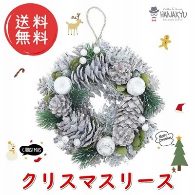まとめ売り　クリスマスリース　　天然素材 DEPOS 先行予約 クリスマスリース リース 天然素材 直径30cm