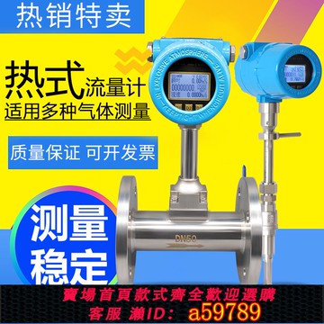 【全網低價 可打統編】数显热式气体质量流量计天然气煤气空气沼气智能插入式氮气计量表