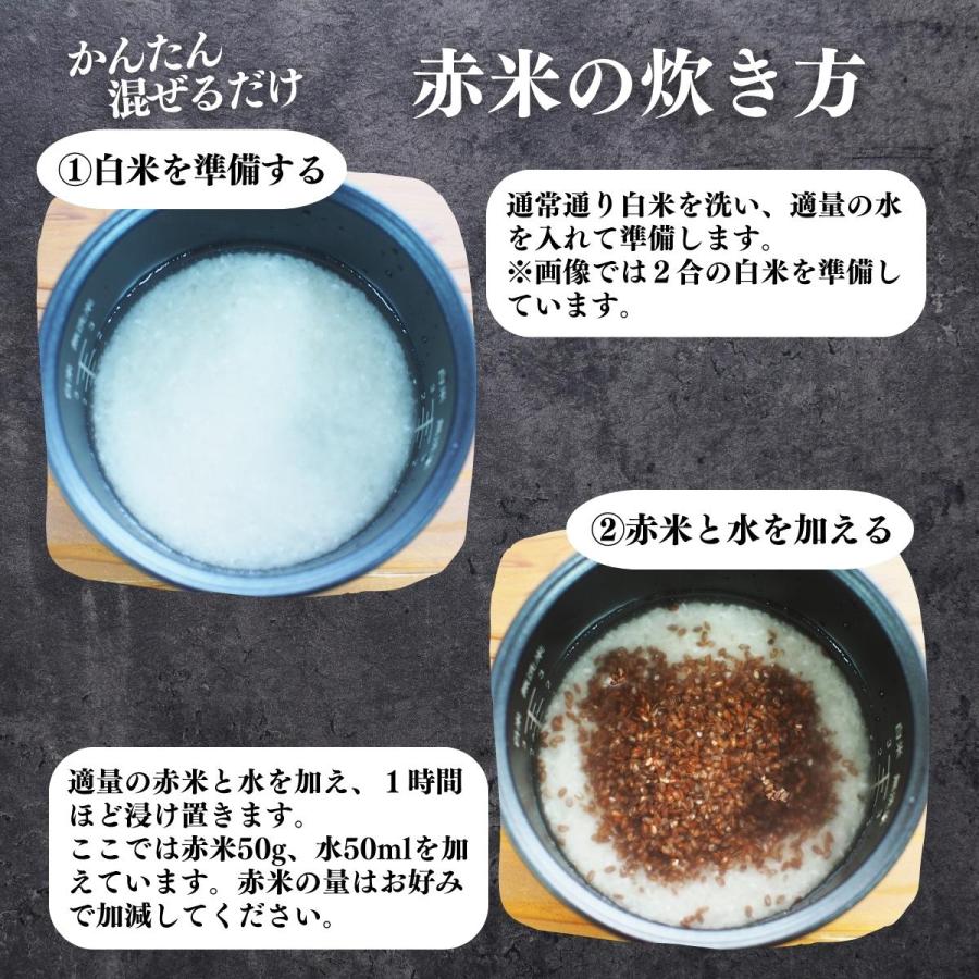 赤米 1kg×10個 国産 雑穀米 古代米 あかまい うるち米 玄米