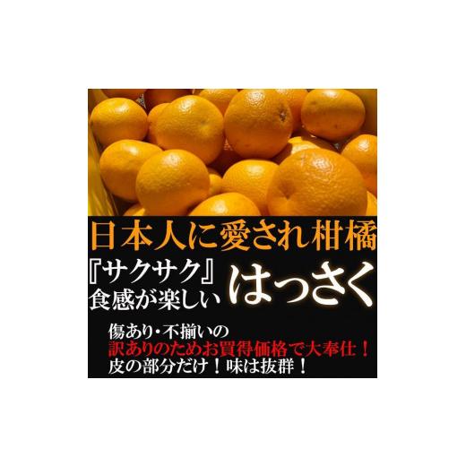 ふるさと納税 和歌山県 有田川町 八朔(はっさく) 10kg 有田川町 家庭用