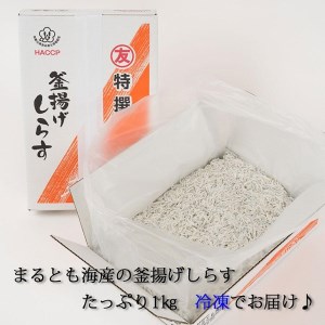 紀州湯浅湾直送！　茹でたて釜揚げしらす 箱入　1kg　