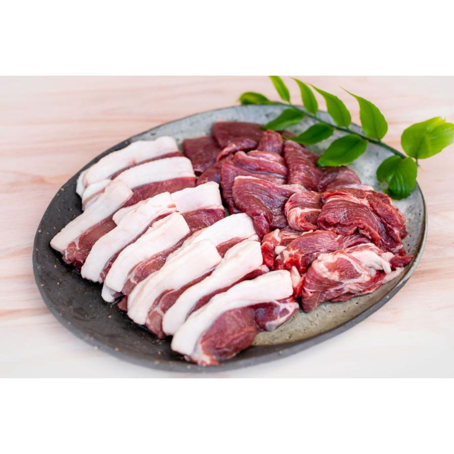イノシシ肉食べ比べ3種セット ジビエ 天然イノシシ肉 房州産 タンパク質 厳選