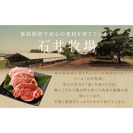 ふるさと納税 黒毛和牛 ヒレ・ シャトウブリアン ステーキ 約150g×4枚 合計 約600g 牛肉 牛 熊本県菊池市