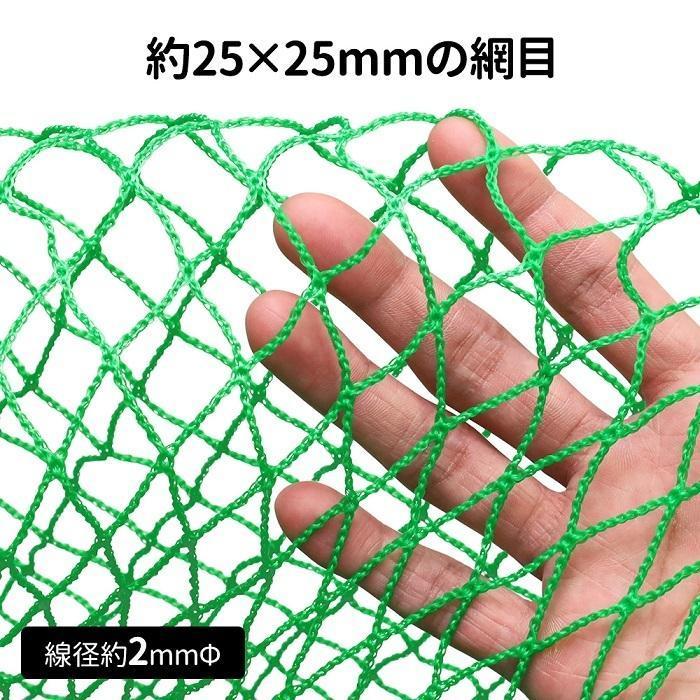 グリーンネット 5m×10m 25mm目 防球ネット 折りたたみ 鳥よけネット 養生ネット グリーン 野球 防鳥ネット カラス グリーンネットフェンス