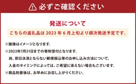 熊本県産 黒小玉スイカ1玉とマスクメロン1玉