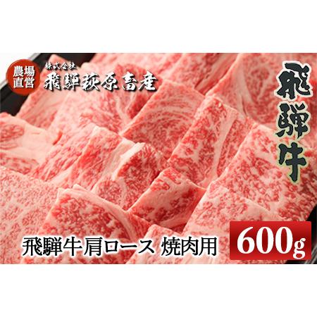 ふるさと納税 飛騨牛肩ロース  600g（焼肉用）牛肉 国産 ブランド牛 】 岐阜県下呂市