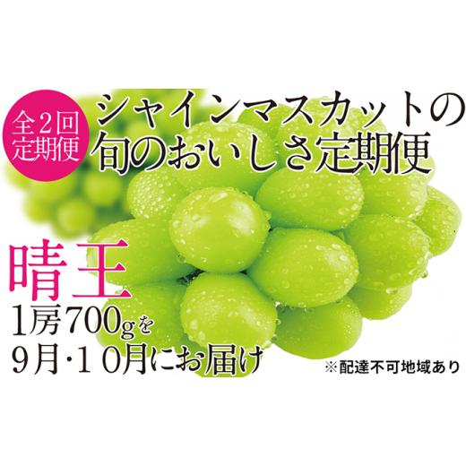 ふるさと納税 岡山県 岡山市 ぶどう 2024年 先行予約 9月・10月発送 シャイン マスカット 晴王 1房 約700g ブドウ 葡萄  岡山県産 国産 フルーツ 果物 ギフト …