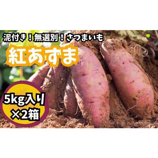 ふるさと納税 茨城県 鉾田市 紅あずま（泥付き無選別）10kg（5kg×2箱）