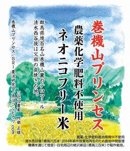 定期便12回 限定10口 「天然記念物森青蛙」産卵水田 玄米5kg 標高六百米