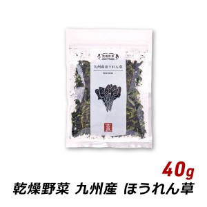 九州産 ほうれん草 40g 国産 乾燥野菜 味噌汁の具 みそ汁の具 和え物 サラダ 炒め物 野菜炒め 吉良食品 メール便 送料無料