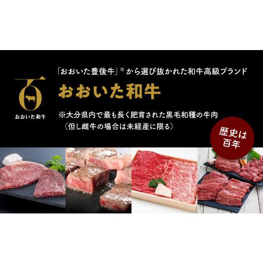 ふるさと納税 大分県 豊後高田市 「おおいた和牛」ステーキ食べ比べセット（モモ150g×1枚・ロース160g×1枚）